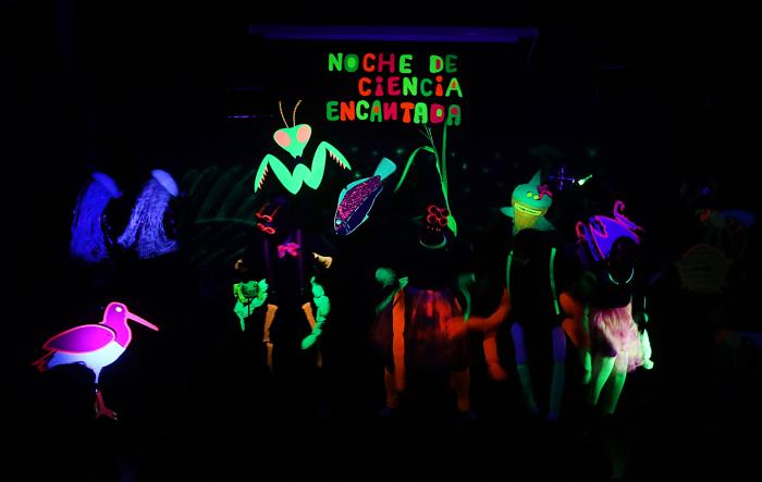Imagen de la obra "Noche de ciencia encantada" Imagen de la obra "Noche de ciencia encantada"