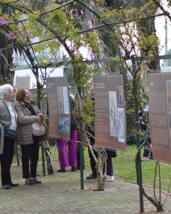 Actividades de museos 