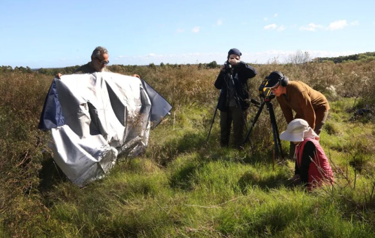 Investigadores del IIBCE y Canadá captando las vibraciones de las arañas en sus telas.
