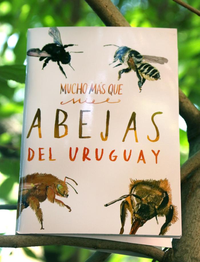 Libro Abejas del Uruguay