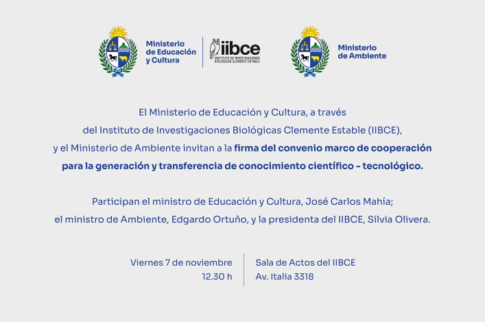 Gráfica promocional