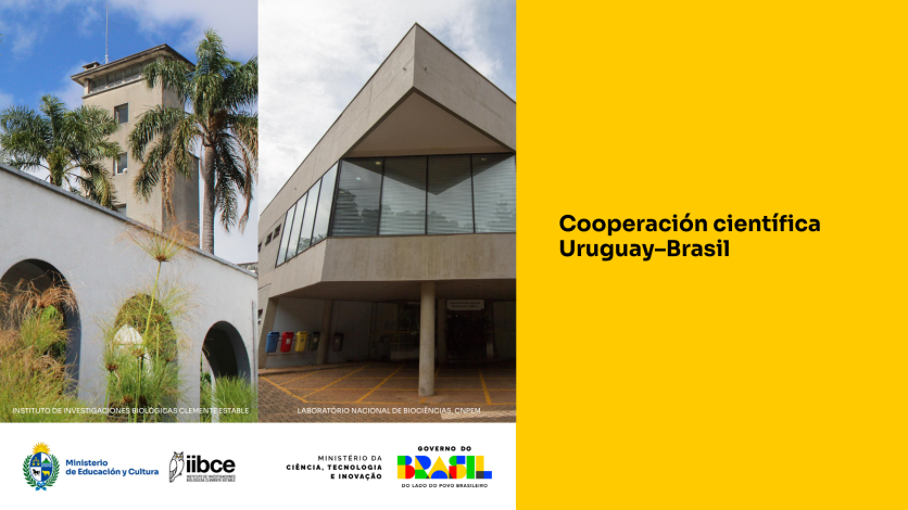 Cooperación científica Uruguay-Brasil