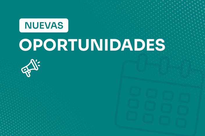 Consultoría para Plan Integral de Incorporación de la Perspectiva de Género