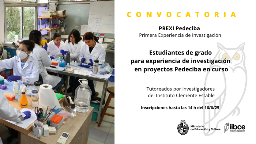 Primera Experiencia en Investigación PREXI 2025