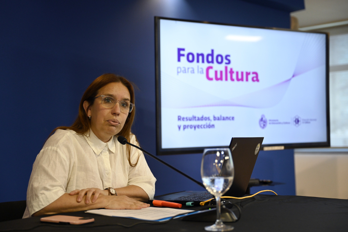 Fondos para la Cultura: fallos, balance y proyección