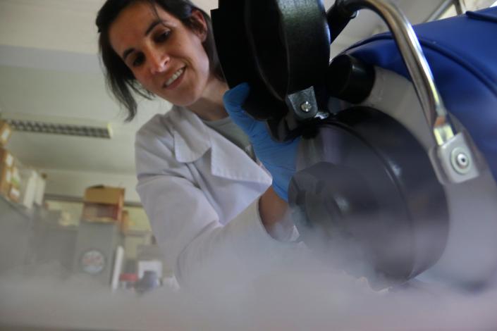 Lucía Marín vertiendo el nitrógeno líquido sobre una de las muestras