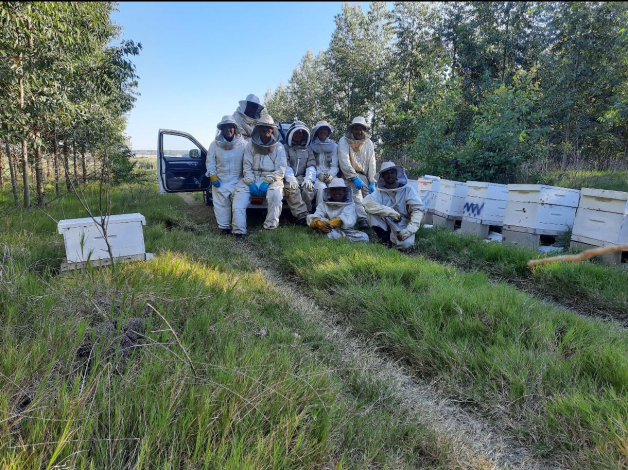 Equipo de trabajo en campo
