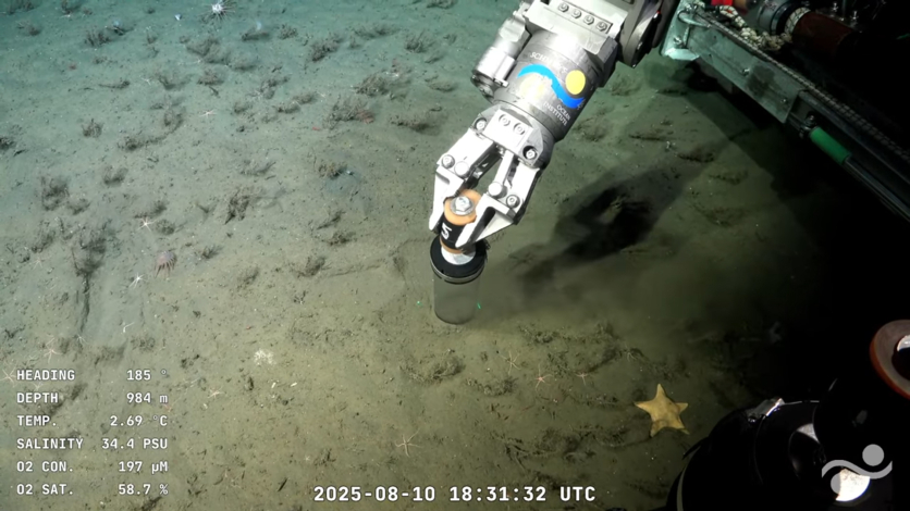 Extracción de muestras de suelo marino