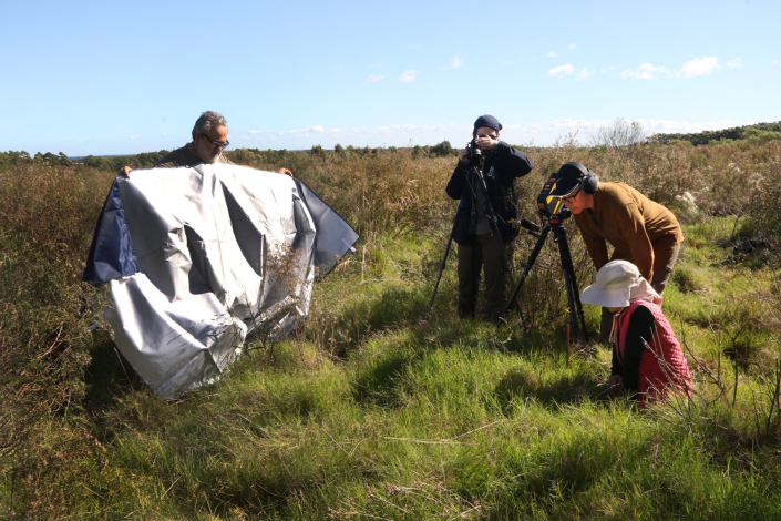 Investigadores en trabajo de campo