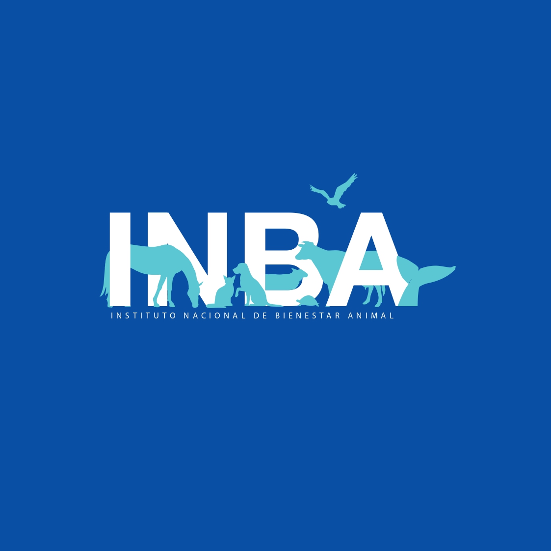 Logo INBA
