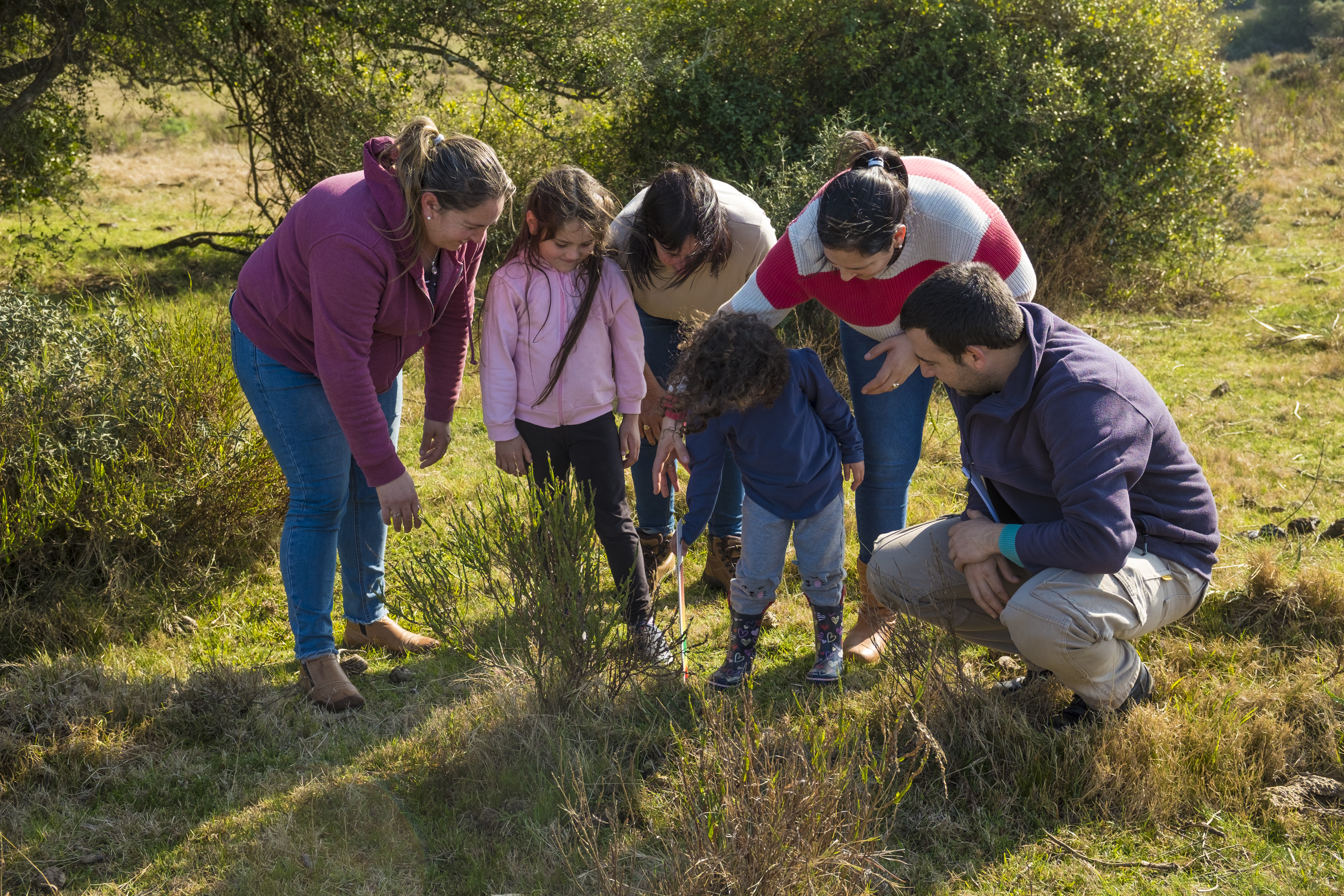 Familia observando pasto