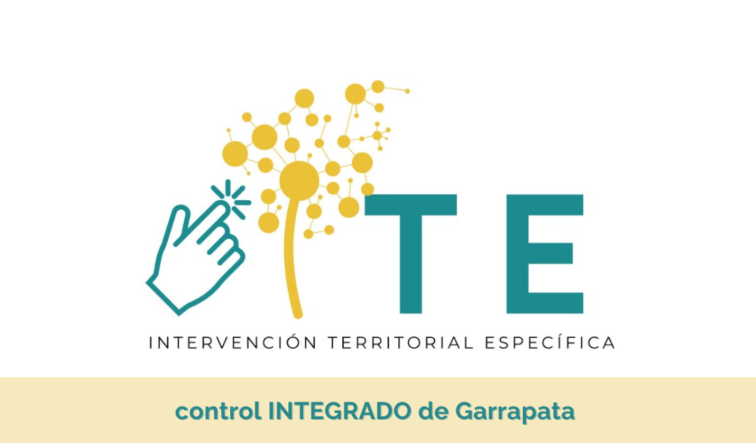 ite control int garrapata