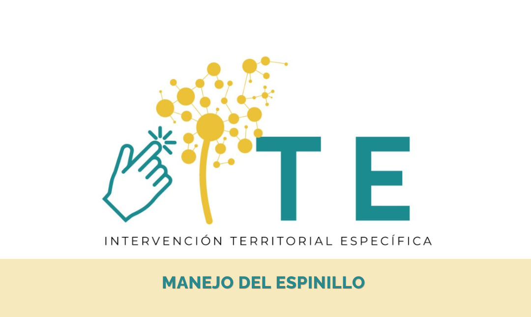 ite espinillo
