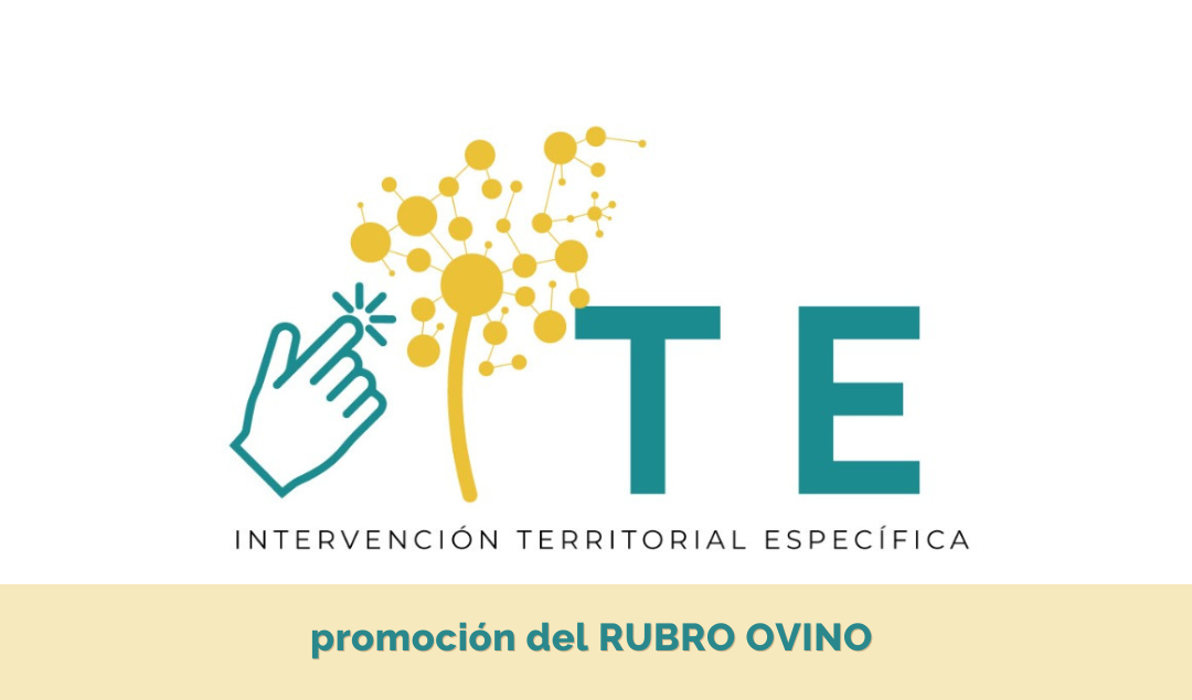 ite rubro ovino