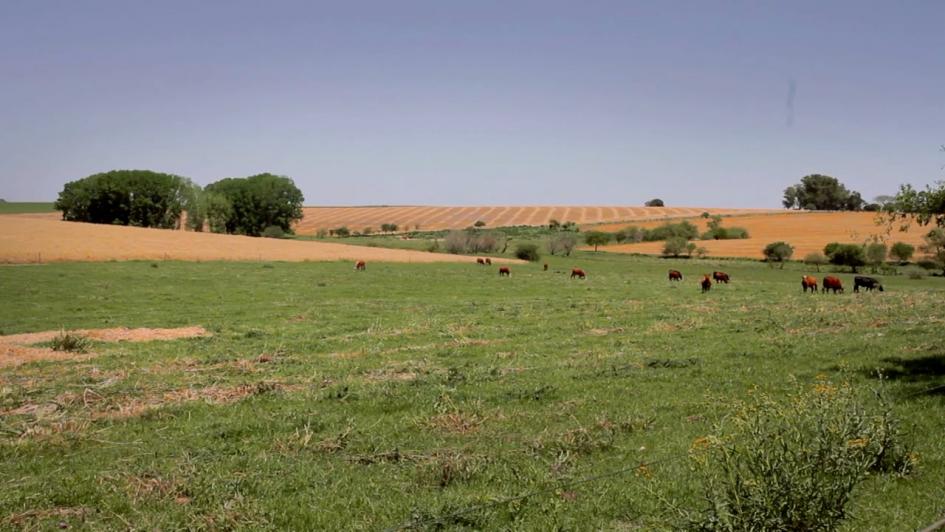 2 de Setiembre – Día Nacional de la Conservación de Suelos