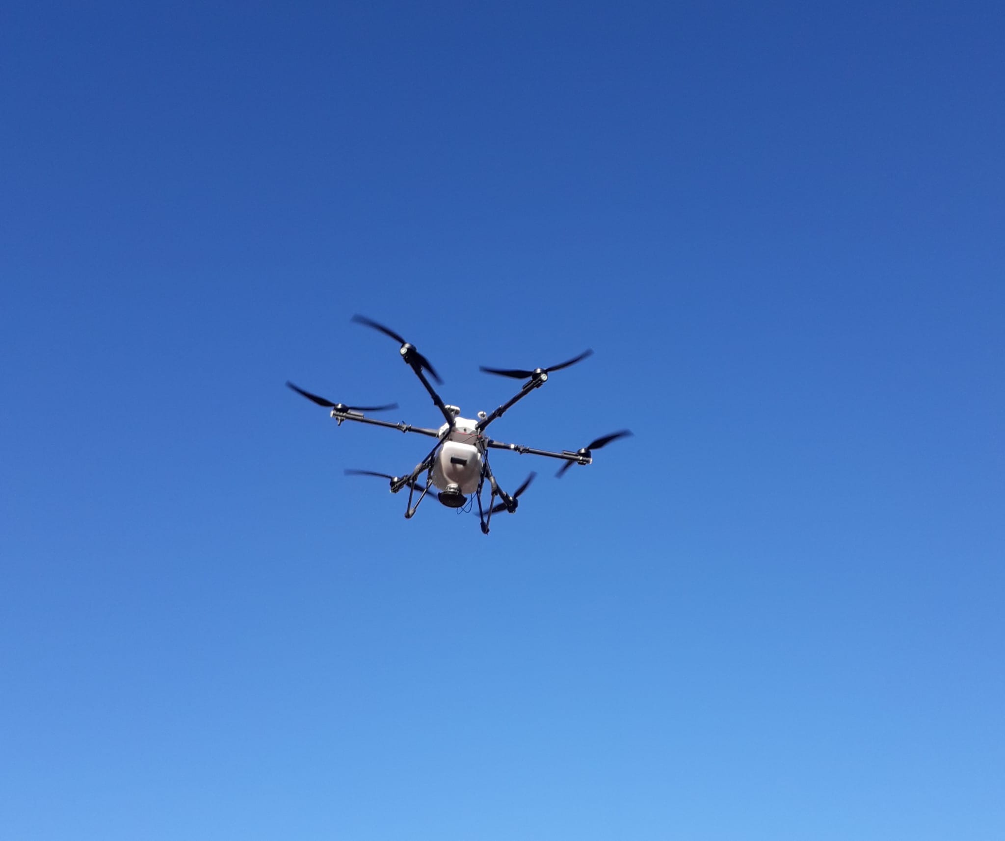 Dron shop aplicacion fitosanitarios