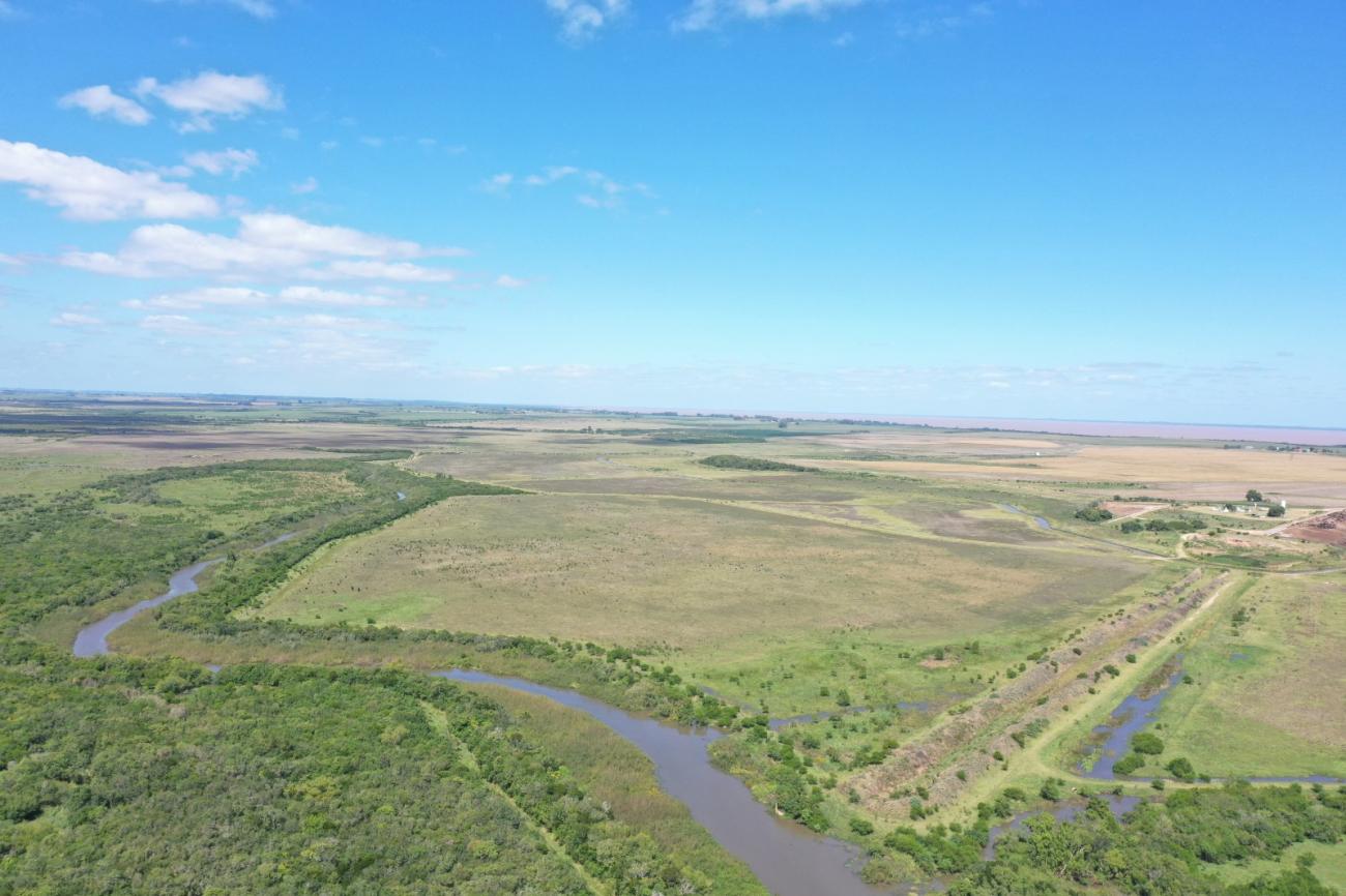 Vista panorámica de bosque nativo Vista panorámica de bosque nativo