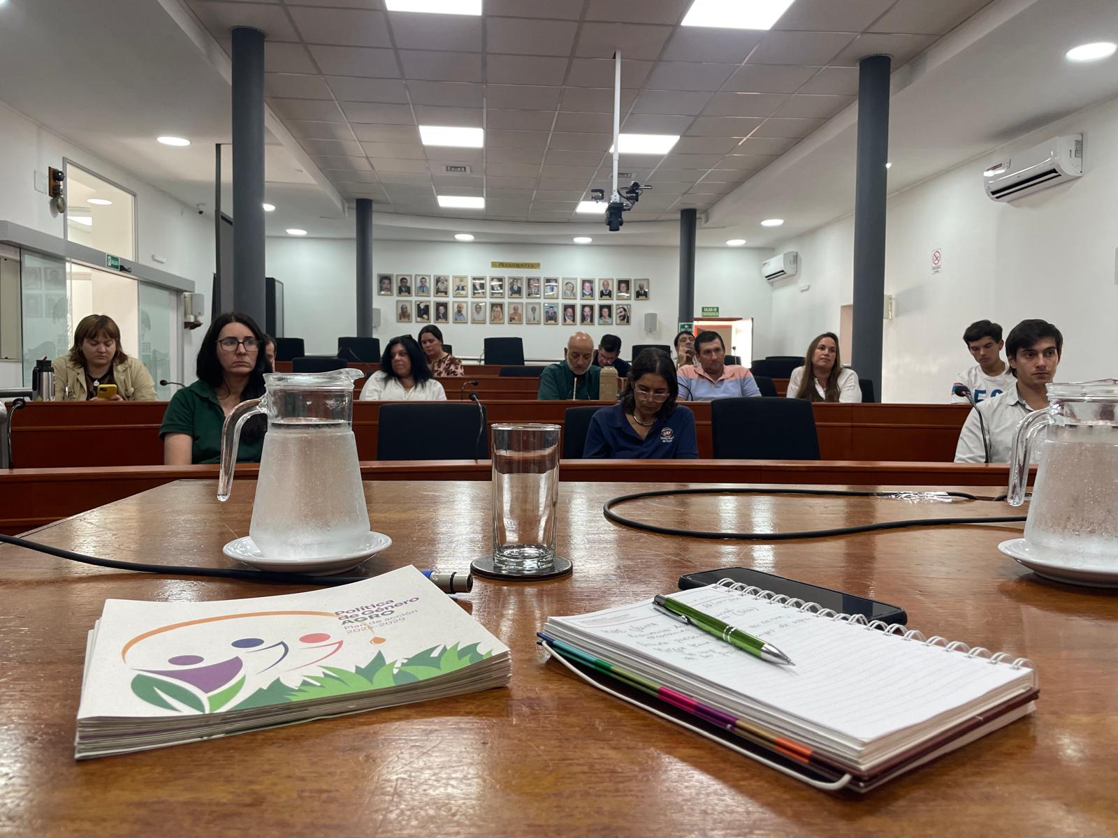 MDR Flores en Trinidad