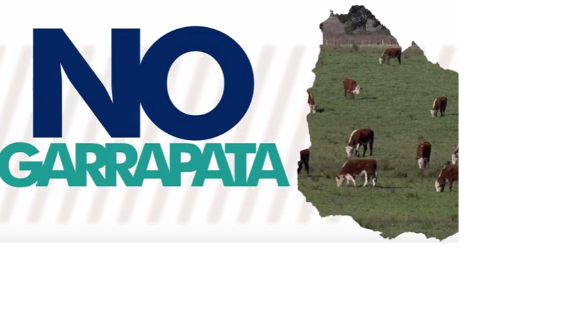 No a la garrapata ""