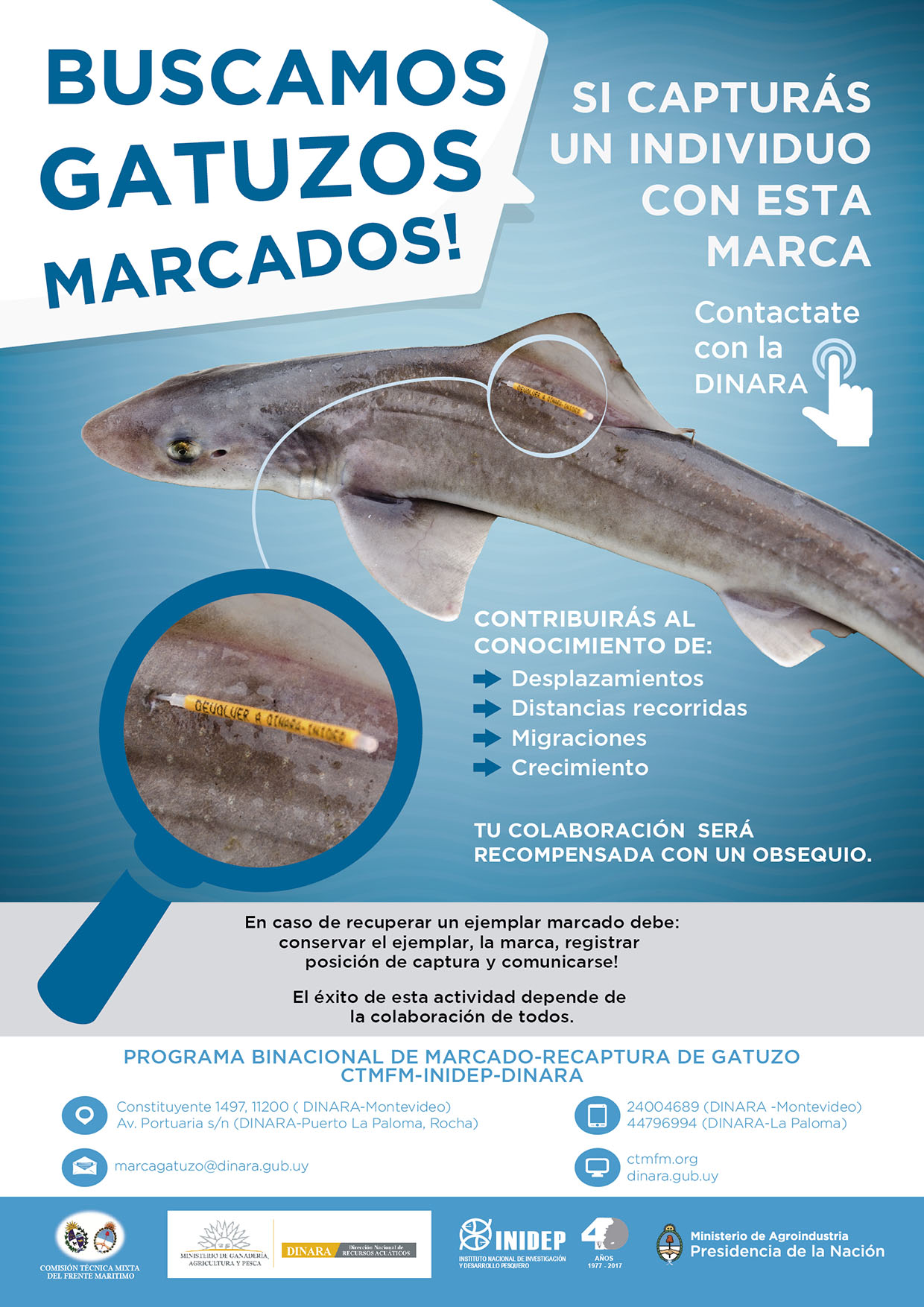 Afiche marcado de gatuzo Marcado de gatuzo
