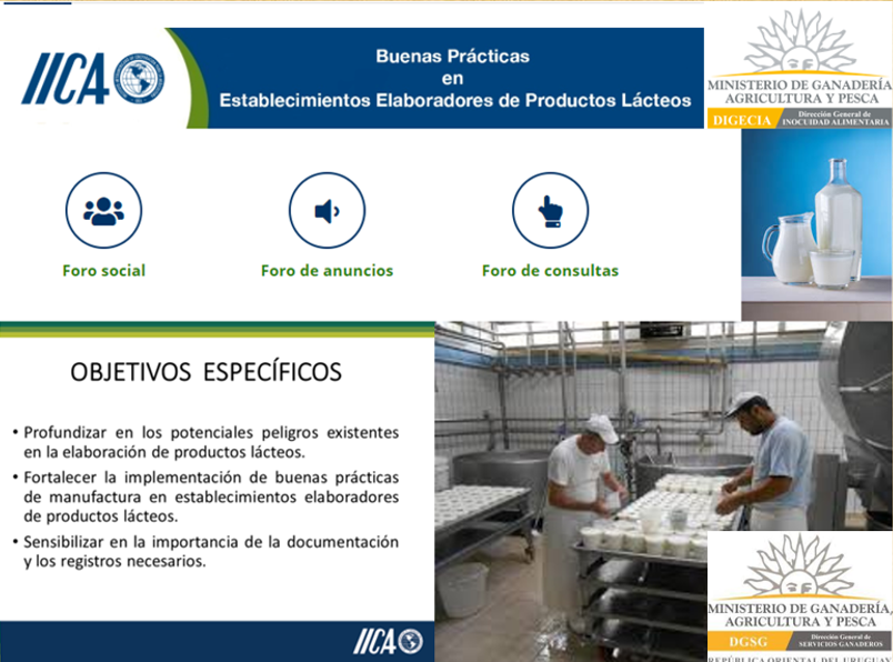 Buenas Practicas De Manufactura En Productos Lacteos www.gub.uy