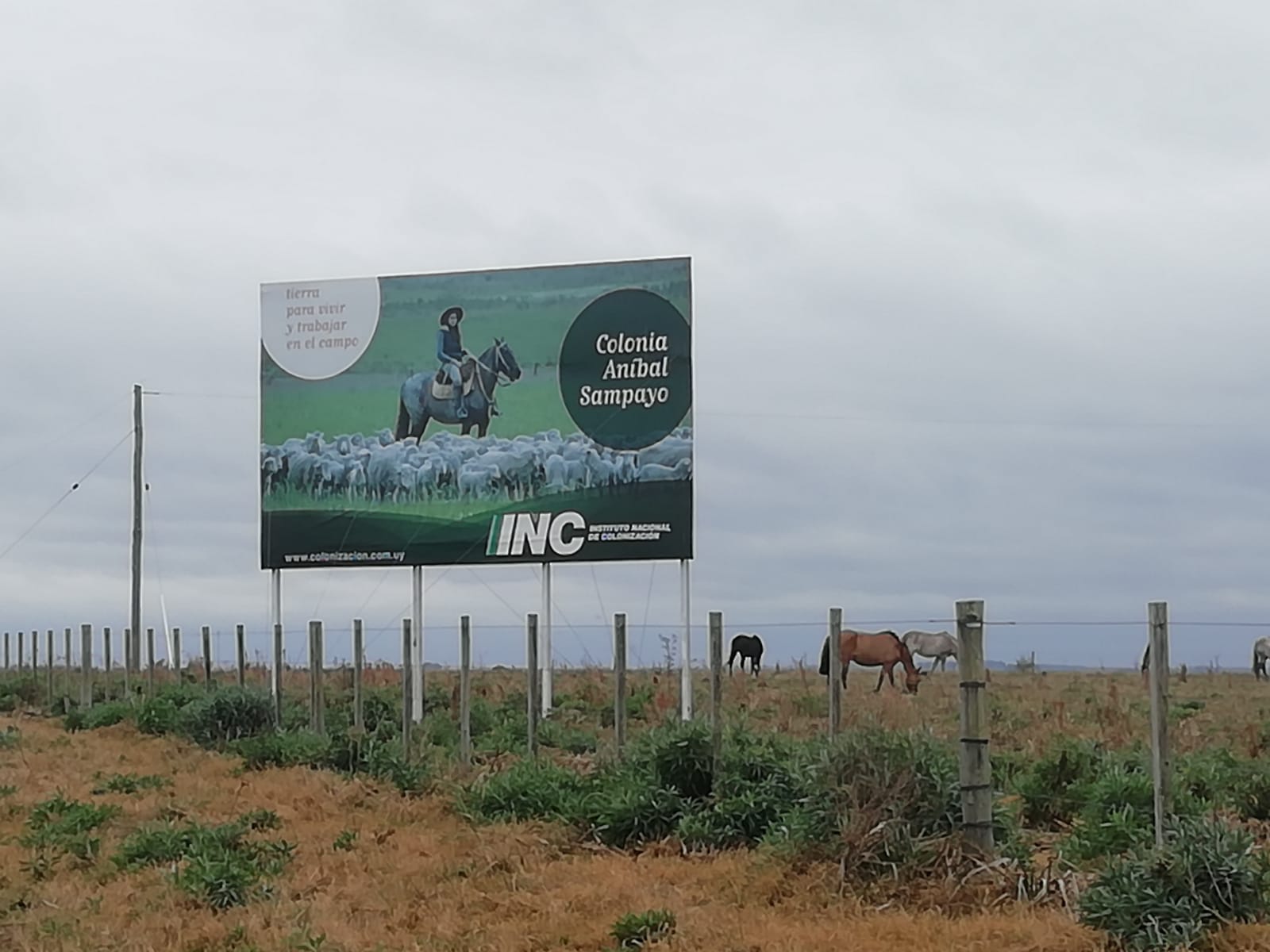 Electrificación rural y apoyo a la producción: las políticas públicas en la Colonia Aníbal Sampayo Cartel colonia INC Aníbal Sampayo