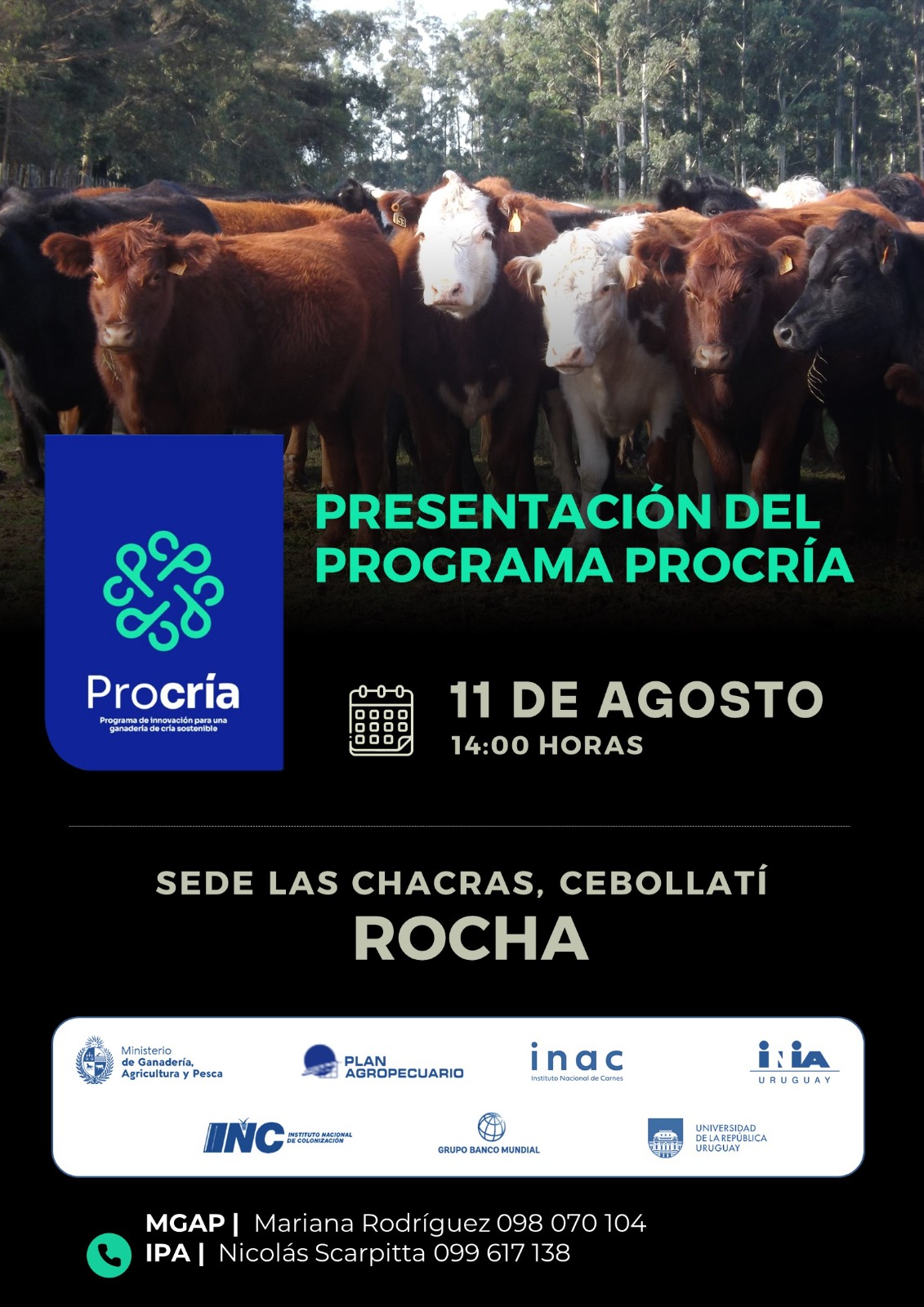 11agoRocha
