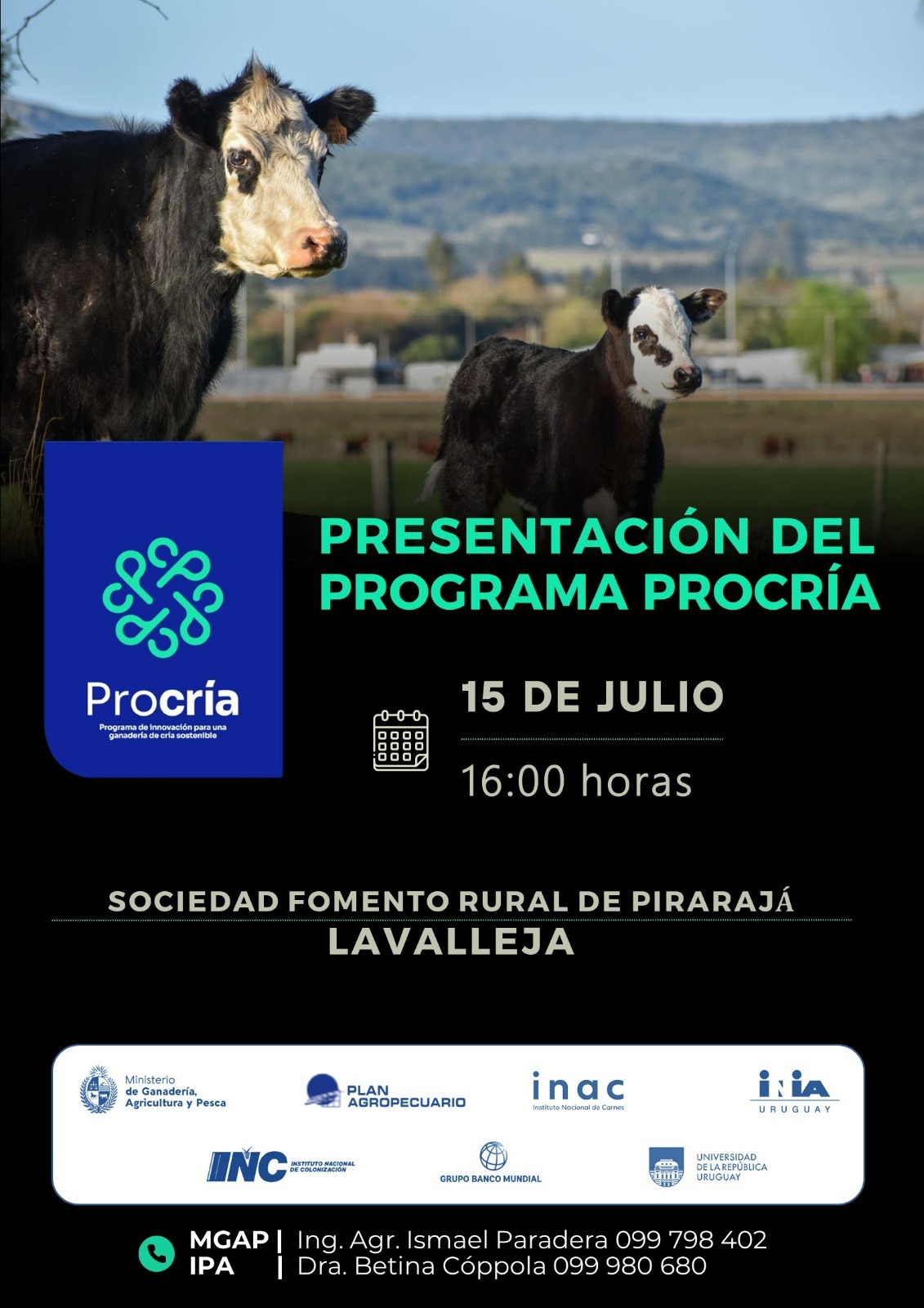 pirarajá PROCRIA