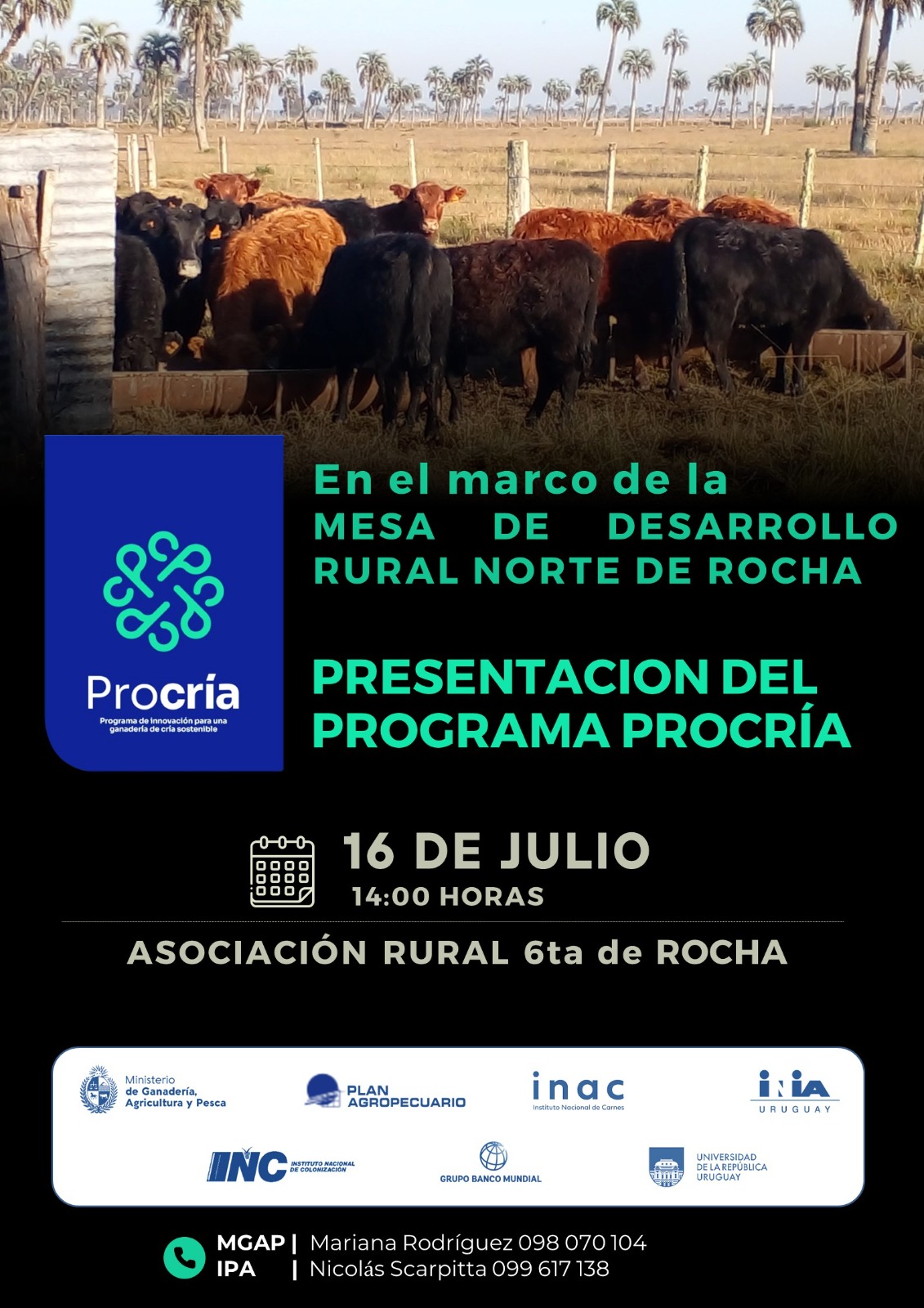 rocha norte procria