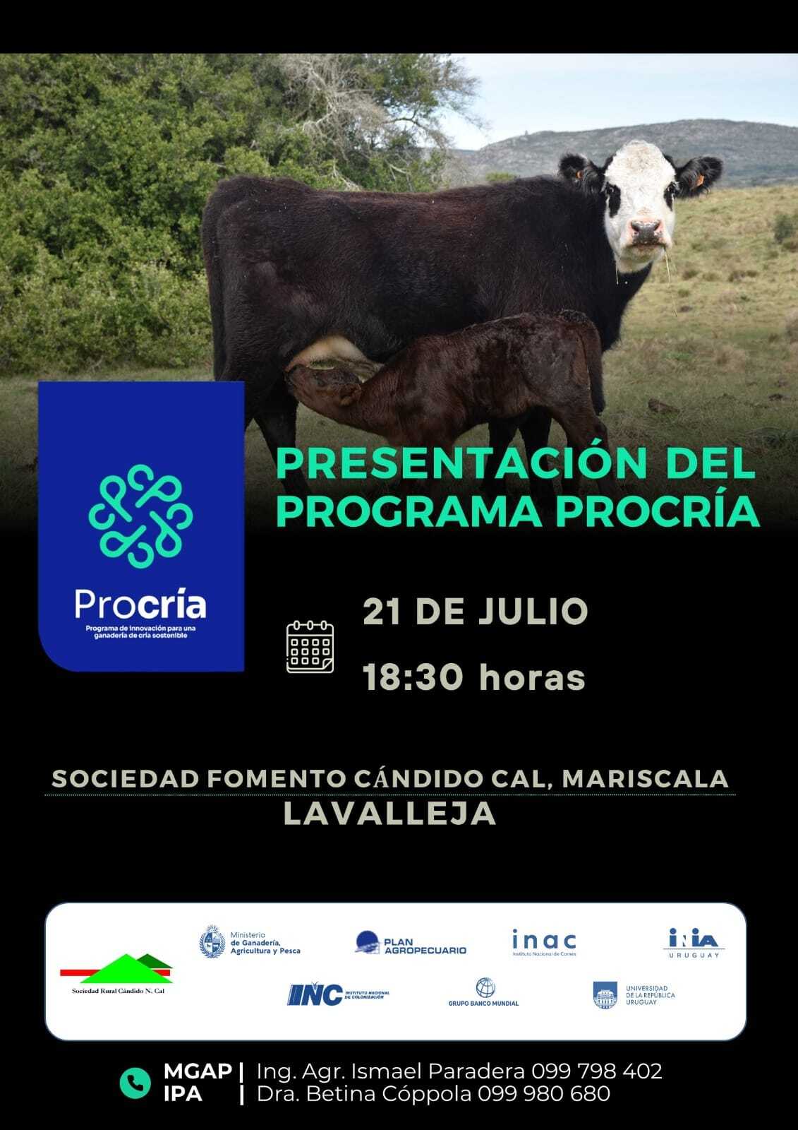 Afiche actividad mariscala