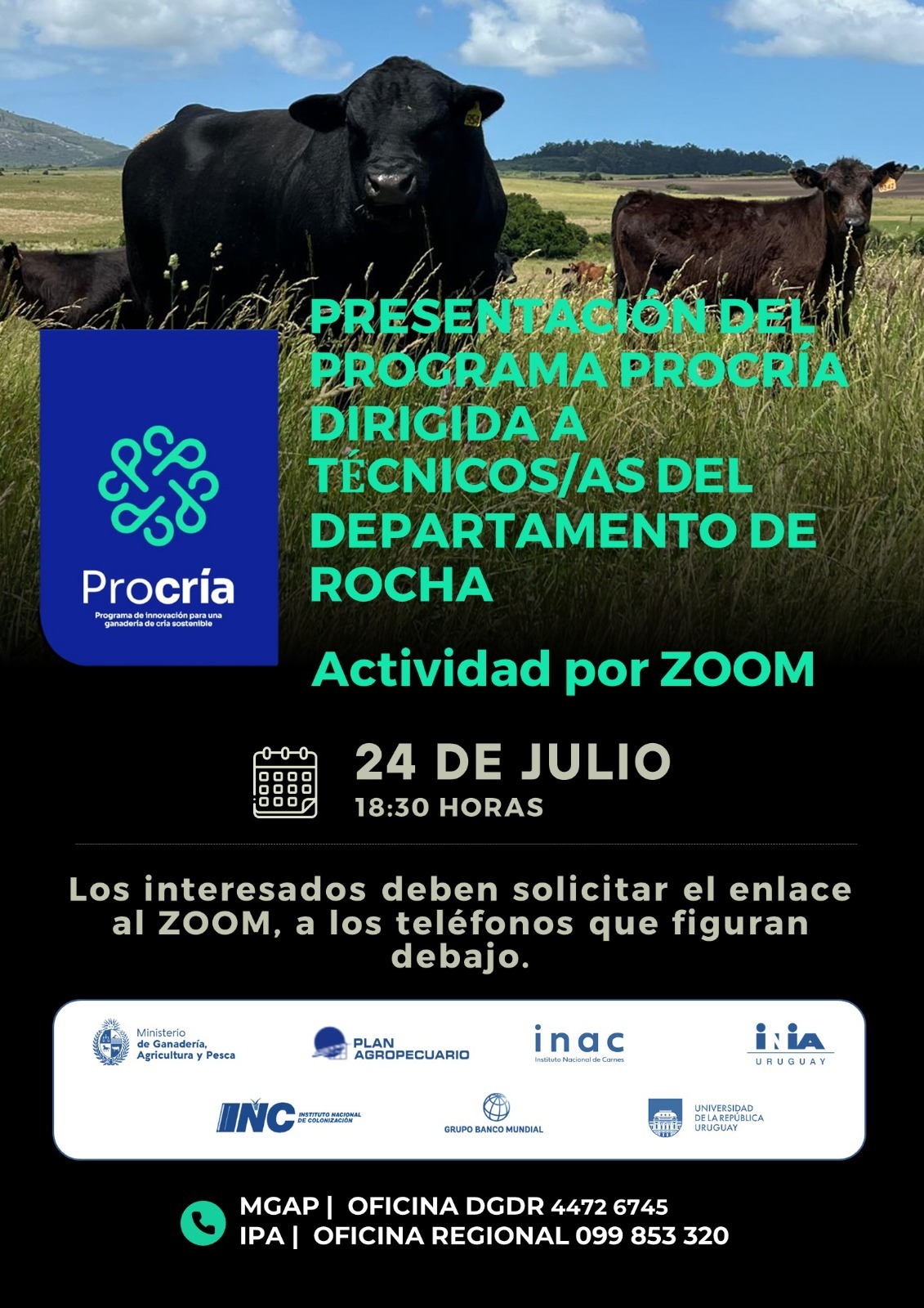 rocha zoom