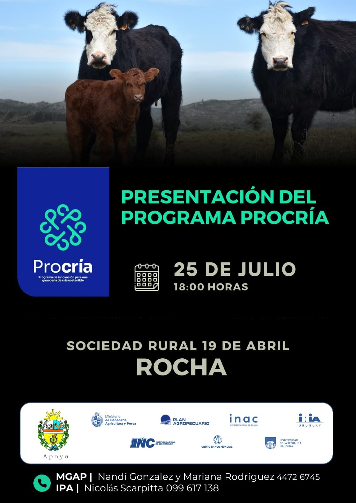 ROCHA 25 julio