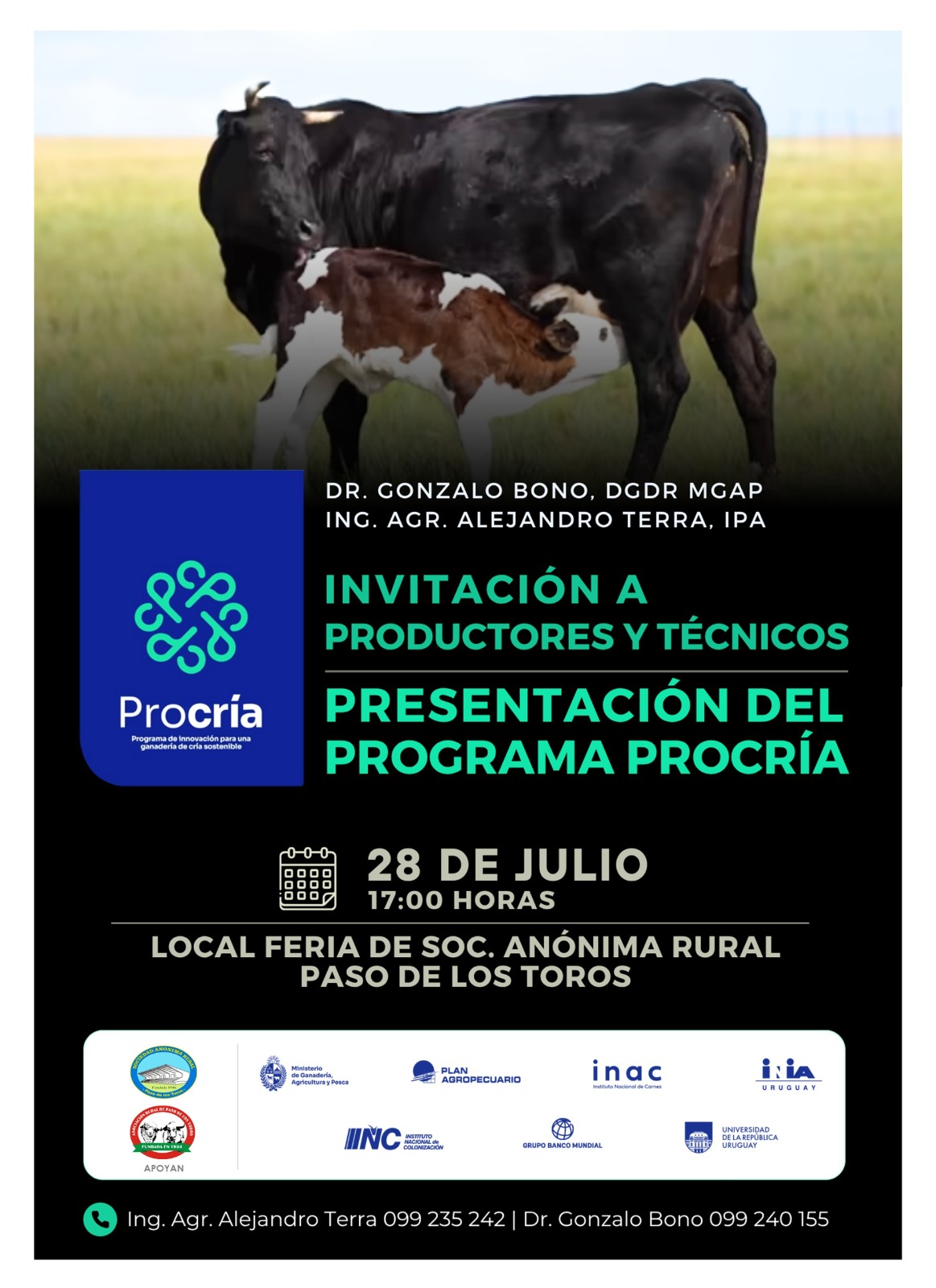 P DE LOS TOROS