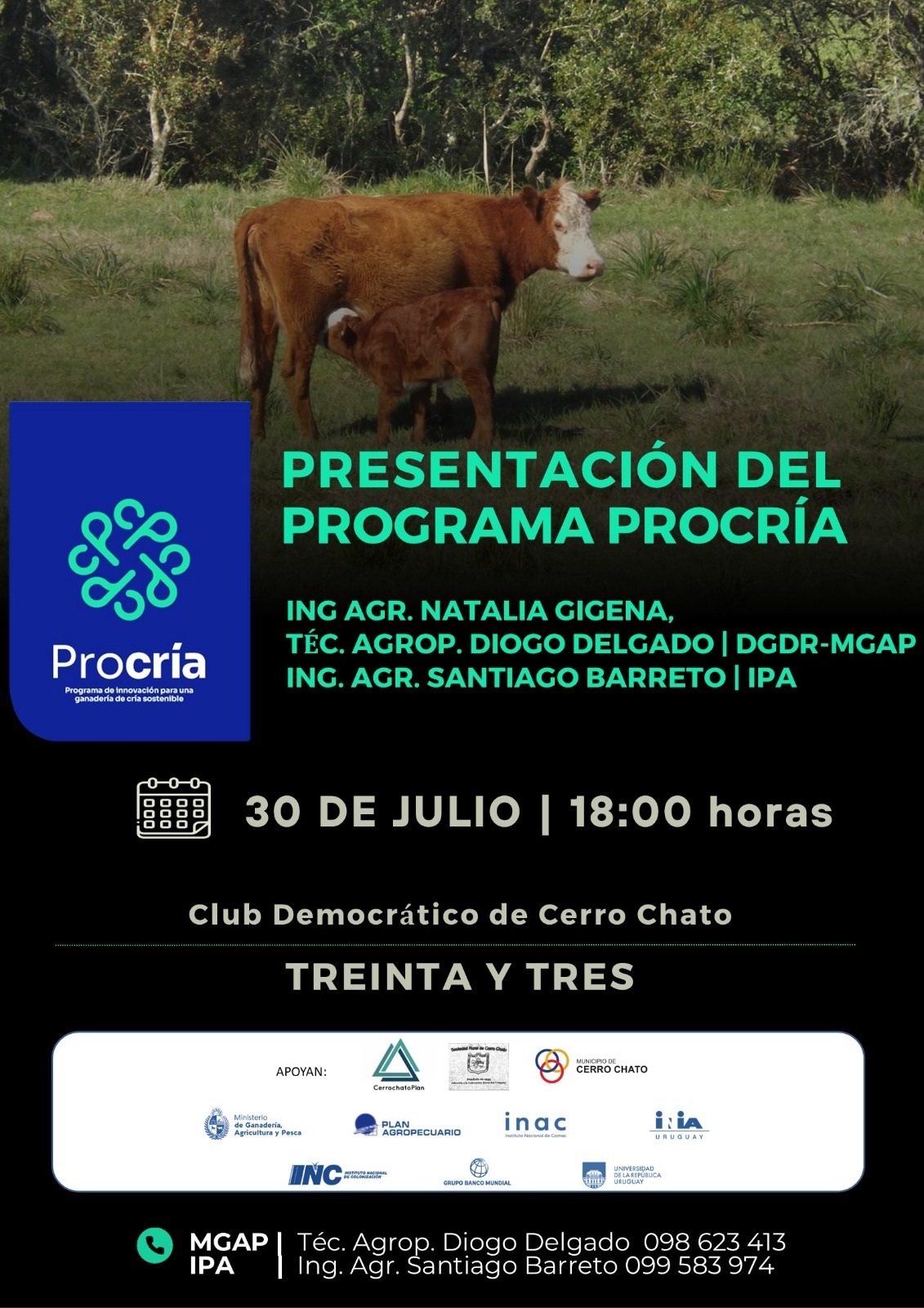 30julio 33