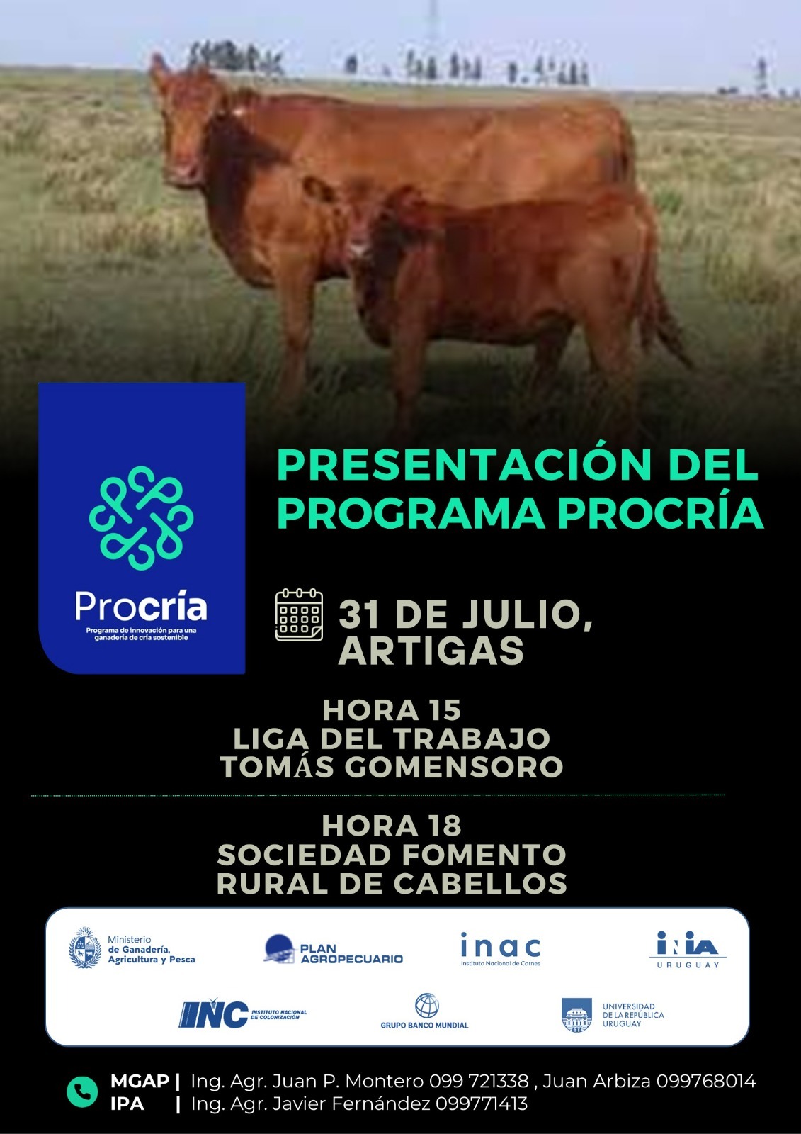 31julio artigas