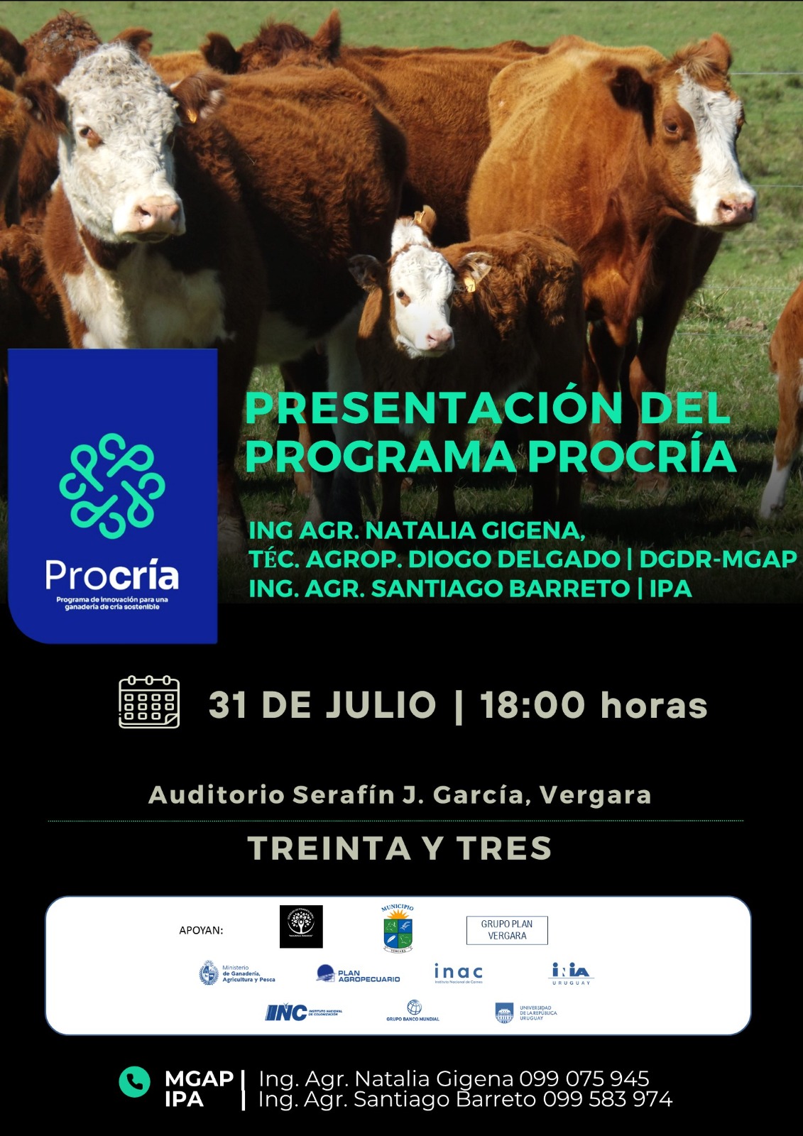 31julio33