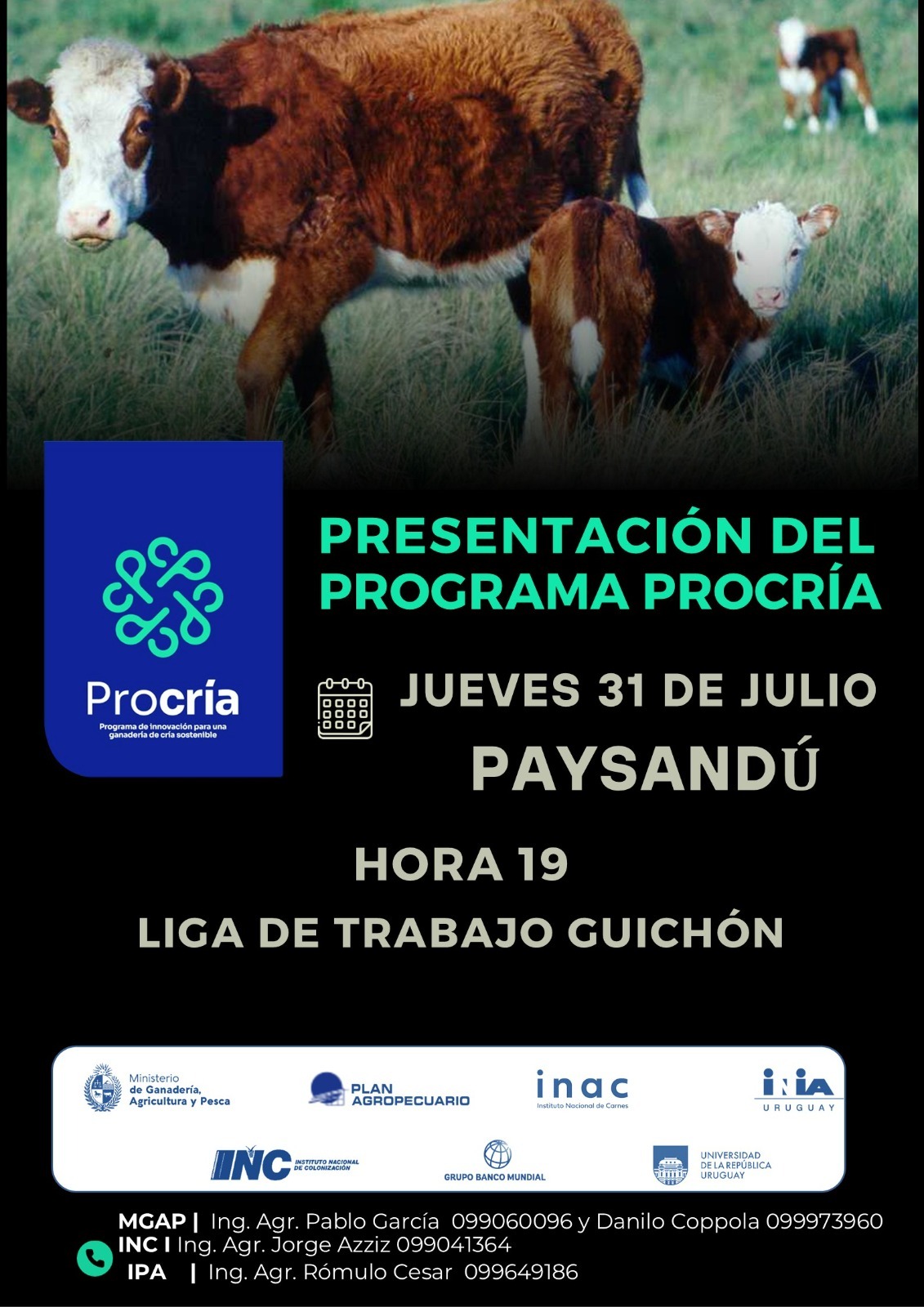 GUCHÓN