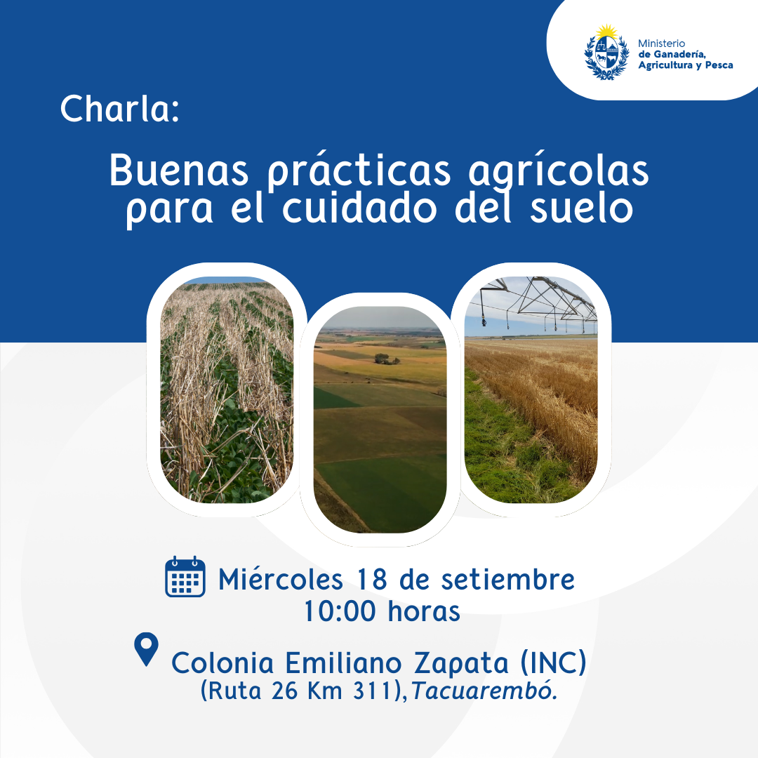 Buenas prácticas agrícolas para el cuidado del suelo