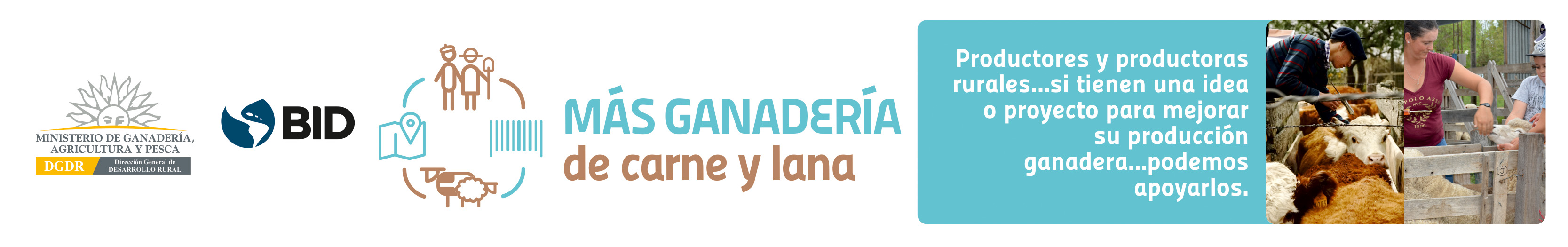 banner Más ganadería carne y lana