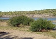 Bosque ribereño con sarandíes