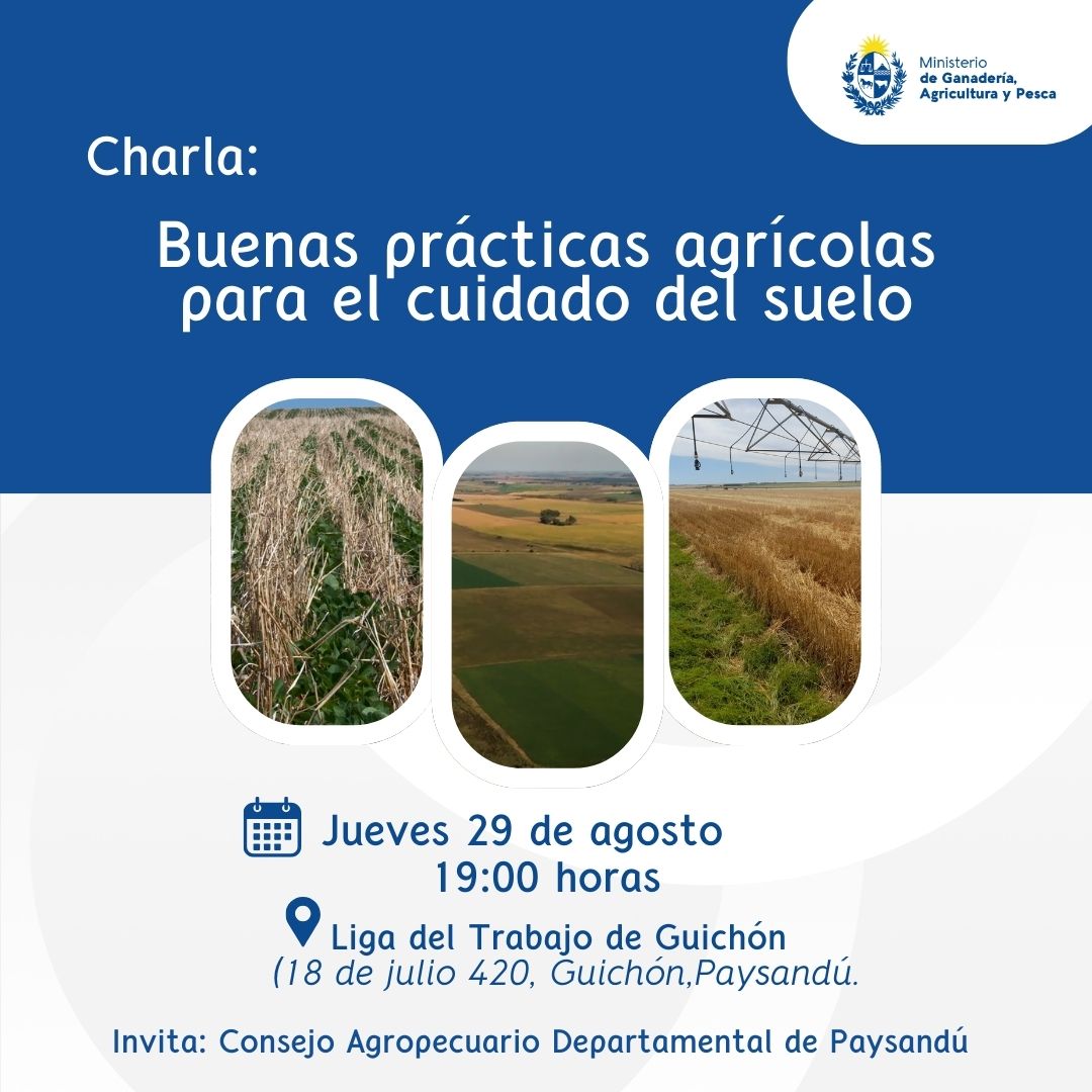 Buenas prácticas agrícolas para el cuidado del suelo