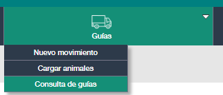 Consulta de guías