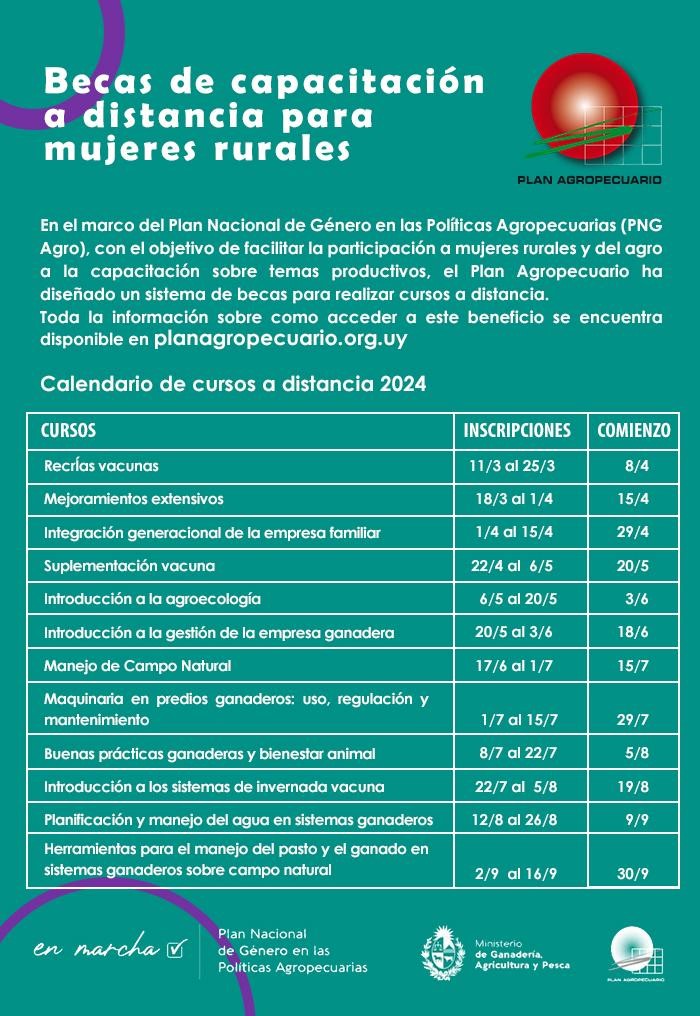 Calendario cursos IPA