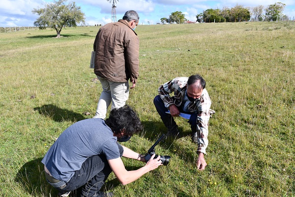 productor zona norte