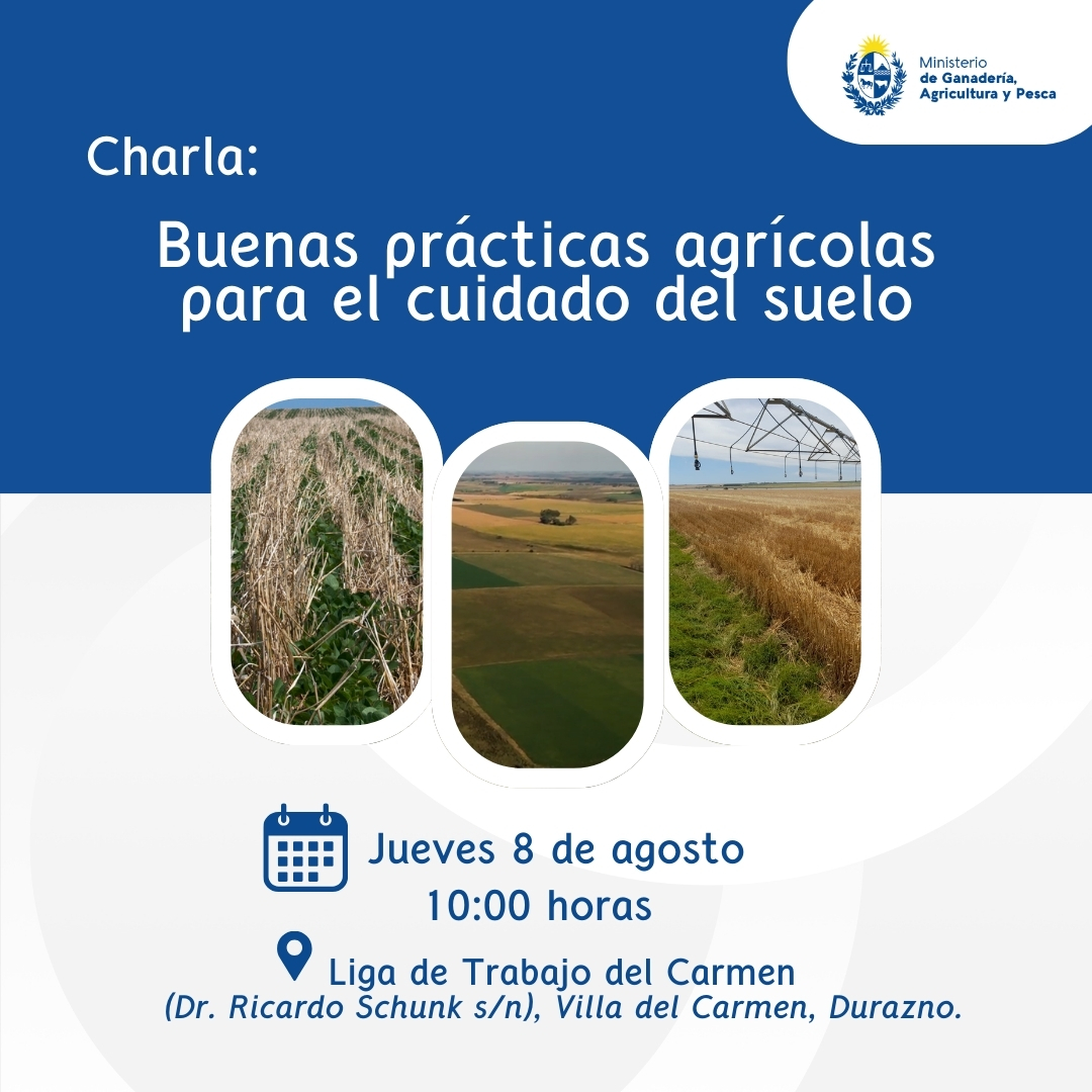 Buenas prácticas agrícolas para el cuidado del suelo