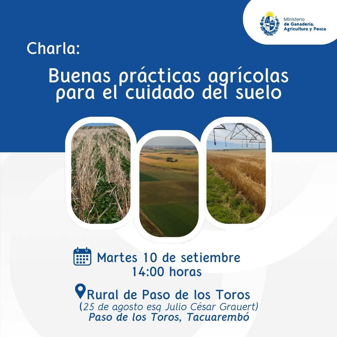 Buenas prácticas agrícolas para el cuidado del suelo