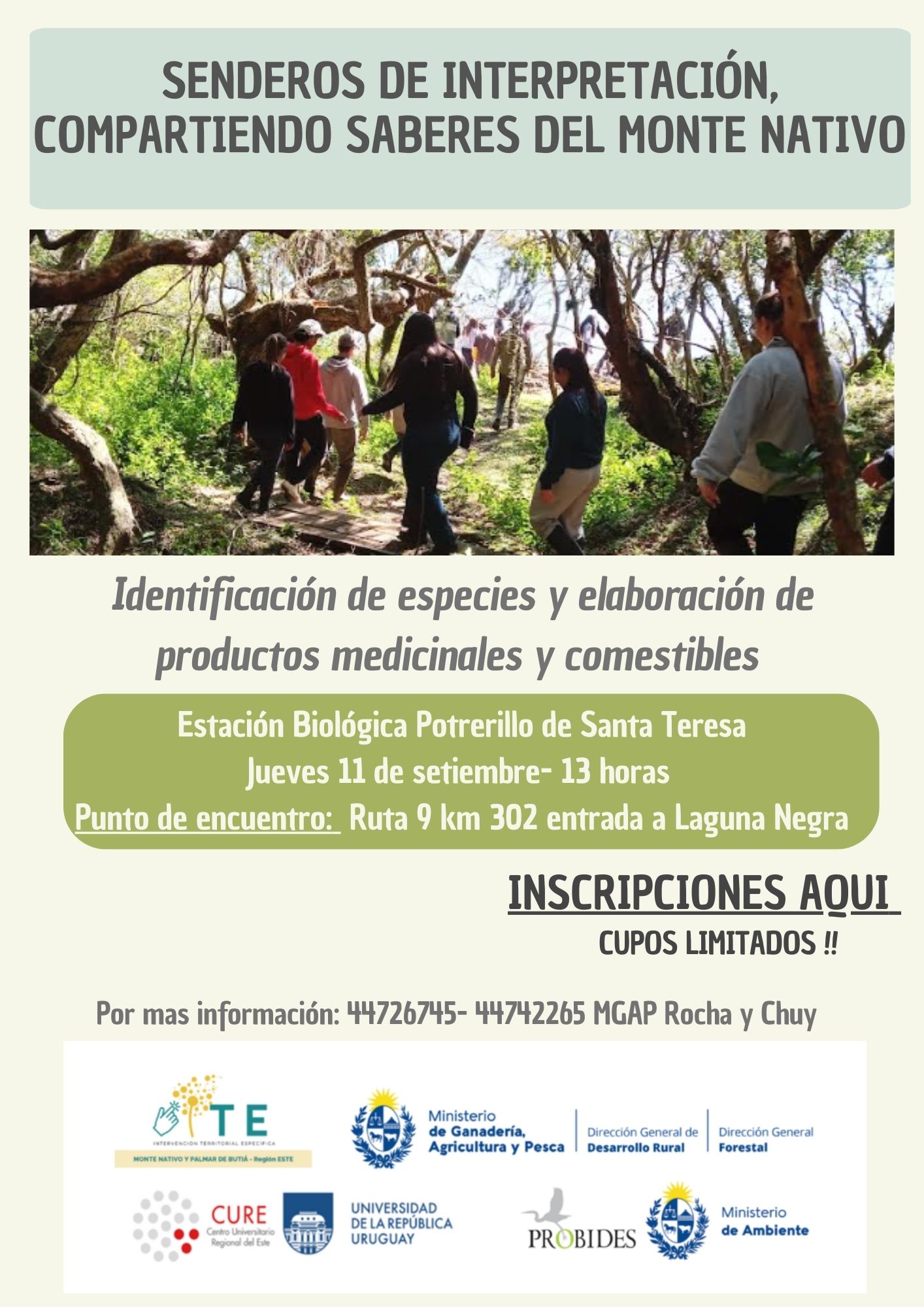 ITE en parque laguna negra