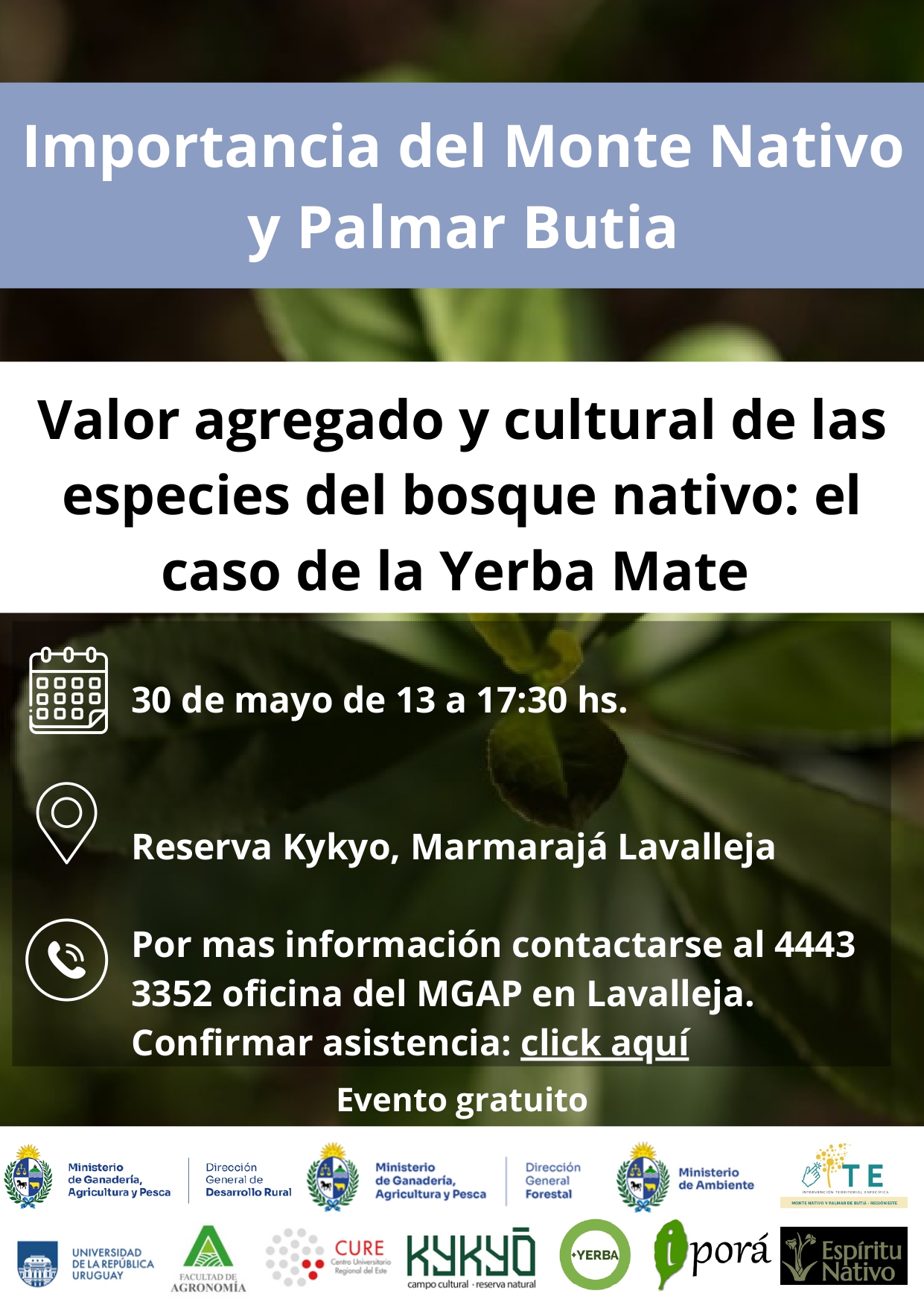 flyer ite yerba mate