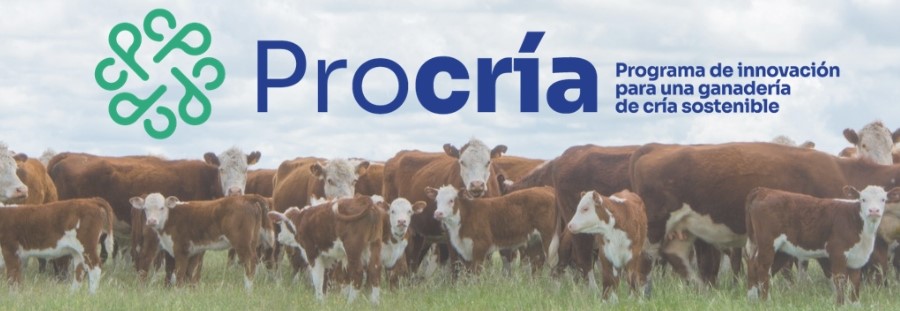 PROCRIA