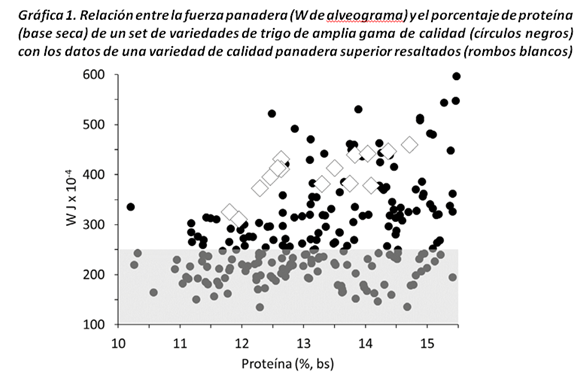 Gráfica 1